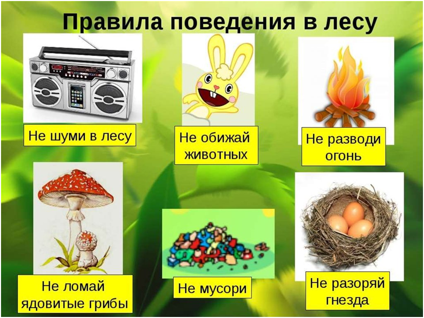 Безопасность ребенка в лесу